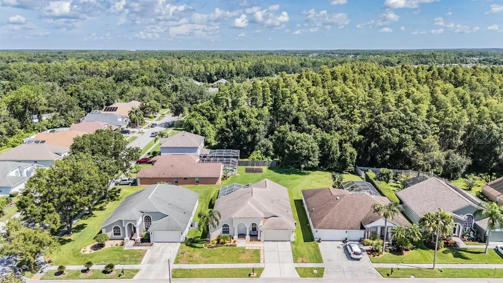 18143 Palm Breeze Drive Tampa FL 33647