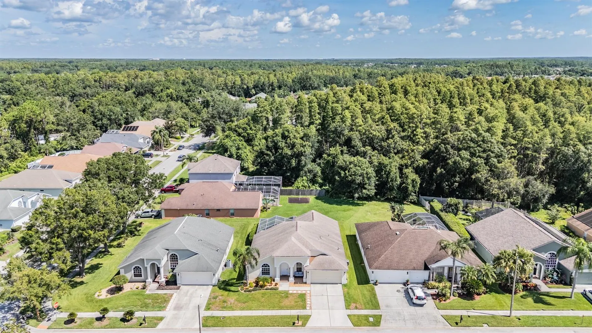 18143 Palm Breeze Drive Tampa FL 33647