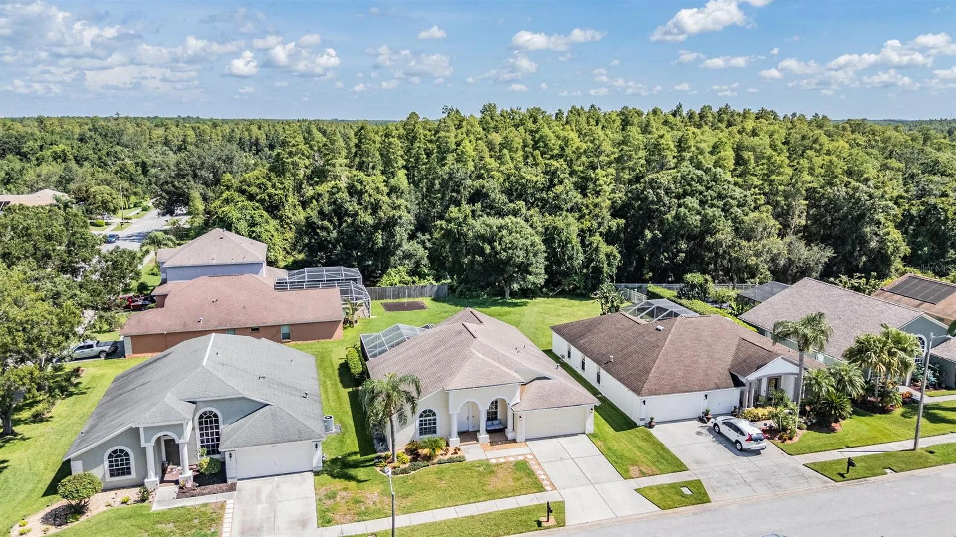 18143 Palm Breeze Drive Tampa FL 33647