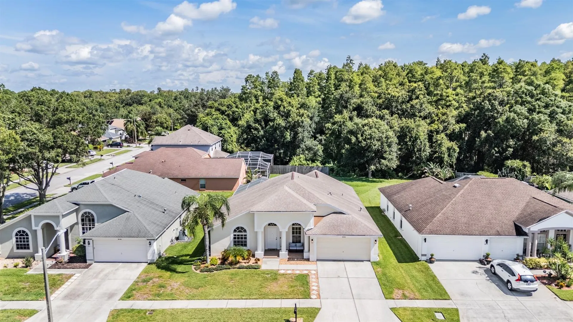 18143 Palm Breeze Drive Tampa FL 33647