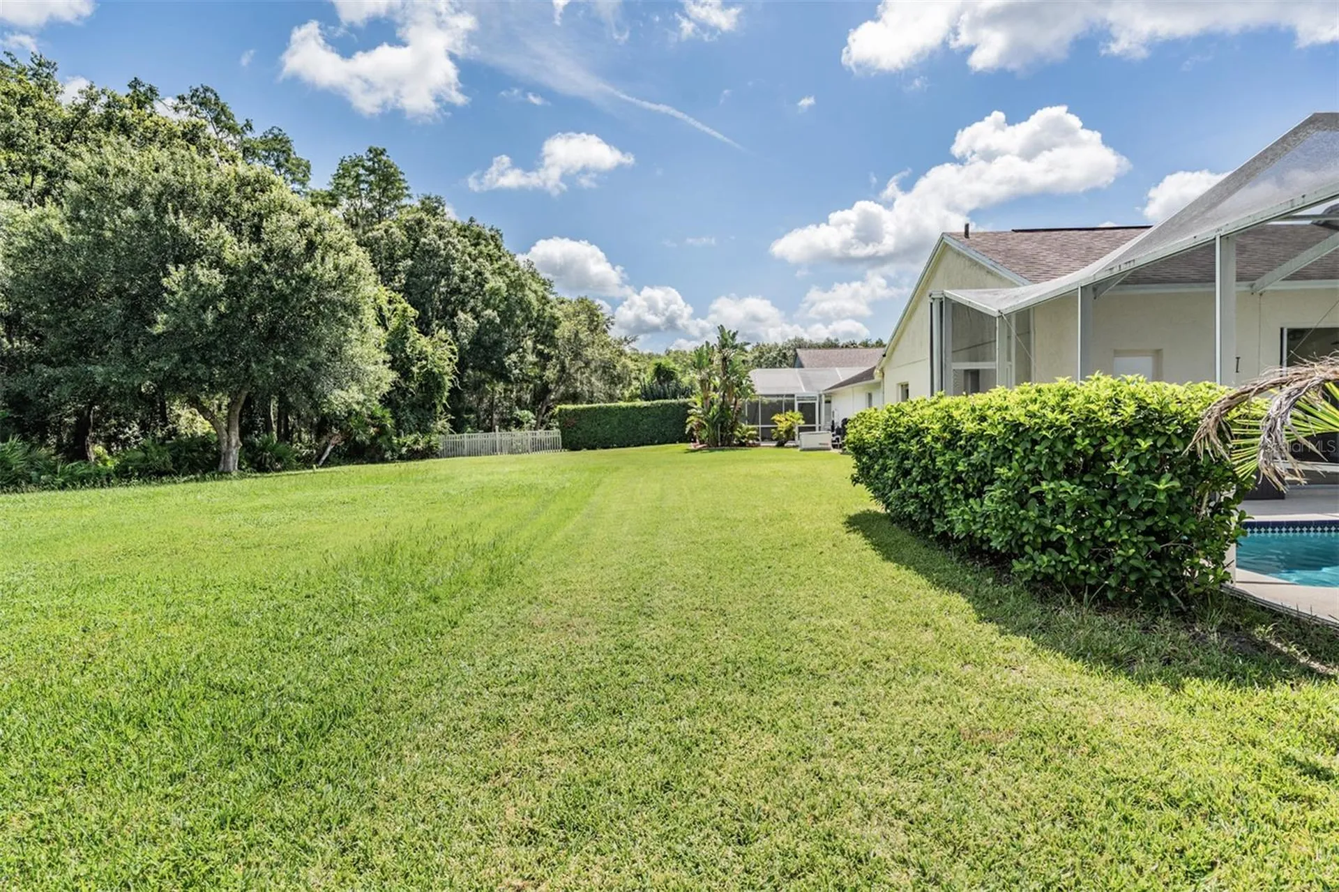 18143 Palm Breeze Drive Tampa FL 33647