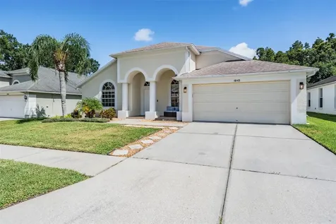 18143 Palm Breeze Drive Tampa FL 33647