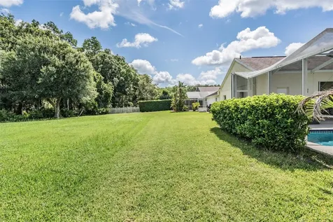 18143 Palm Breeze Drive Tampa FL 33647