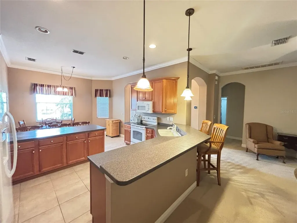 9936 Cleghorn Drive San Antonio FL 33576