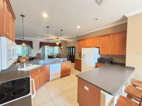 9936 Cleghorn Drive San Antonio FL 33576