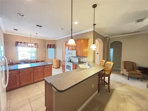 9936 Cleghorn Drive San Antonio FL 33576