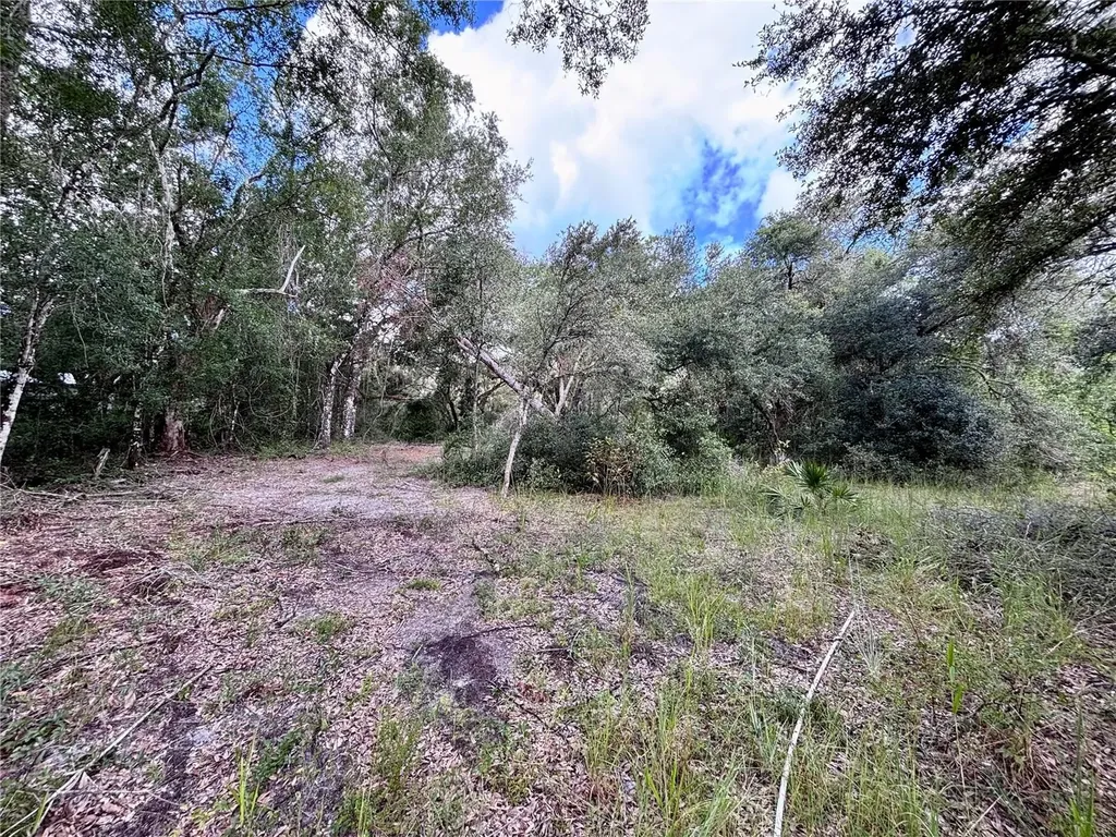 0 Bedrock Drive Webster FL 33597