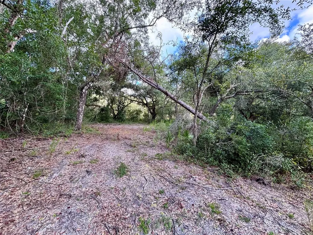 0 Bedrock Drive Webster FL 33597
