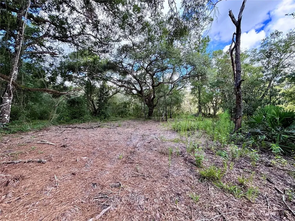 0 Bedrock Drive Webster FL 33597