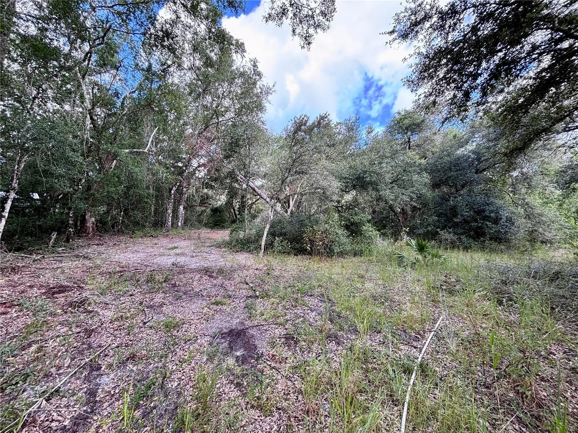 0 Bedrock Drive Webster FL 33597