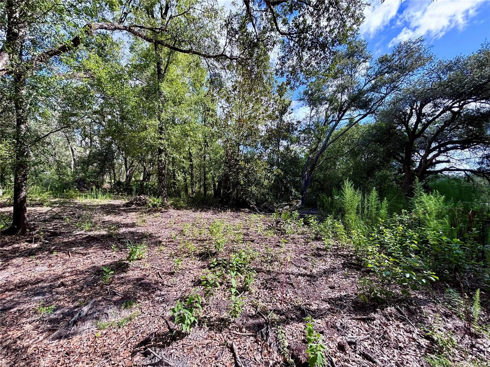 0 Bedrock Drive Webster FL 33597