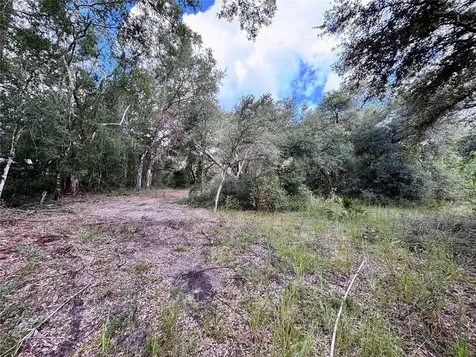 0 Bedrock Drive Webster FL 33597