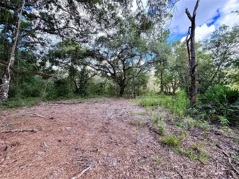 0 Bedrock Drive Webster FL 33597
