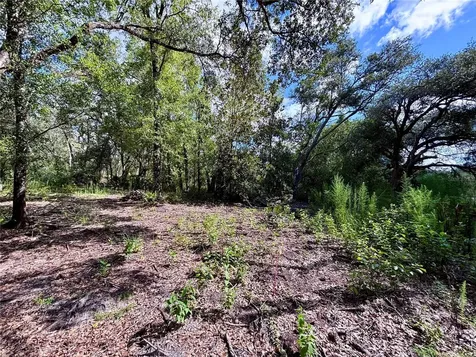 0 Bedrock Drive Webster FL 33597
