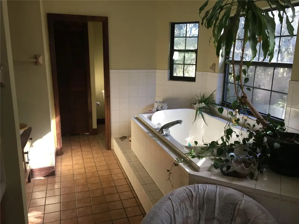 2436 Cr 416n Lake Panasoffkee FL 33538