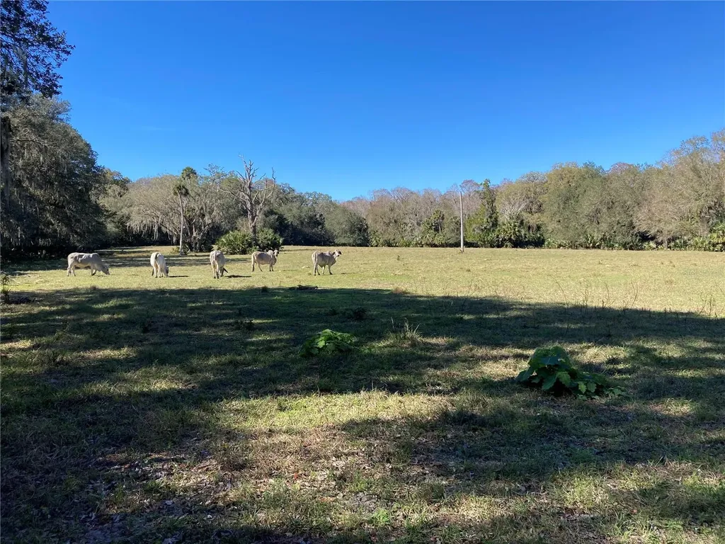 2436 Cr 416n Lake Panasoffkee FL 33538
