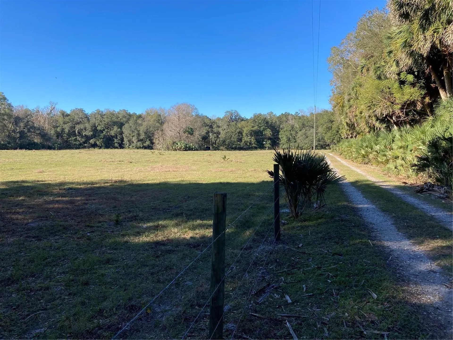 2436 Cr 416n Lake Panasoffkee FL 33538