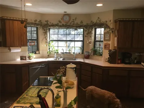 2436 Cr 416n Lake Panasoffkee FL 33538