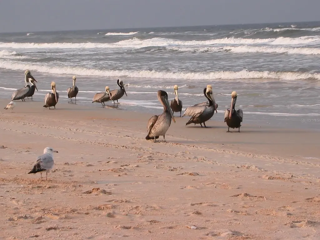 3501 S Central Avenue Flagler Beach FL 32136
