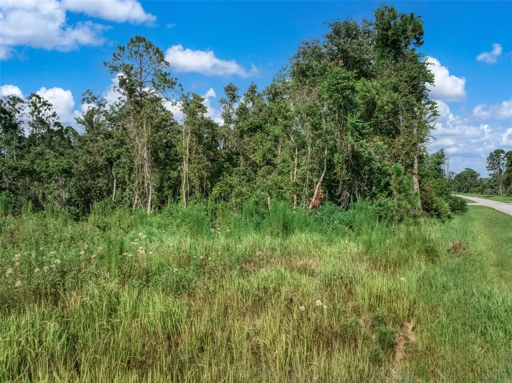 7922 Bernal Drive Sebring FL 33872