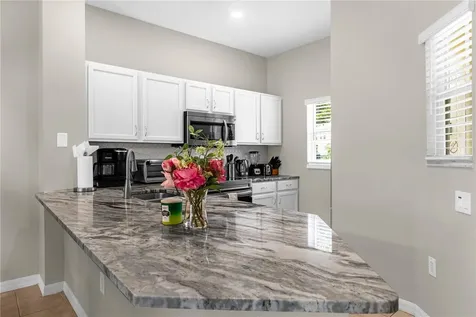 8558 Crystal Cove Loop Kissimmee FL 34747