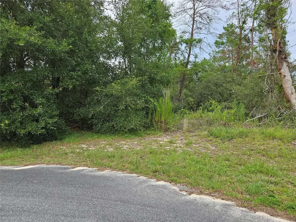 0 SW 46 Circle Ocala FL 34473