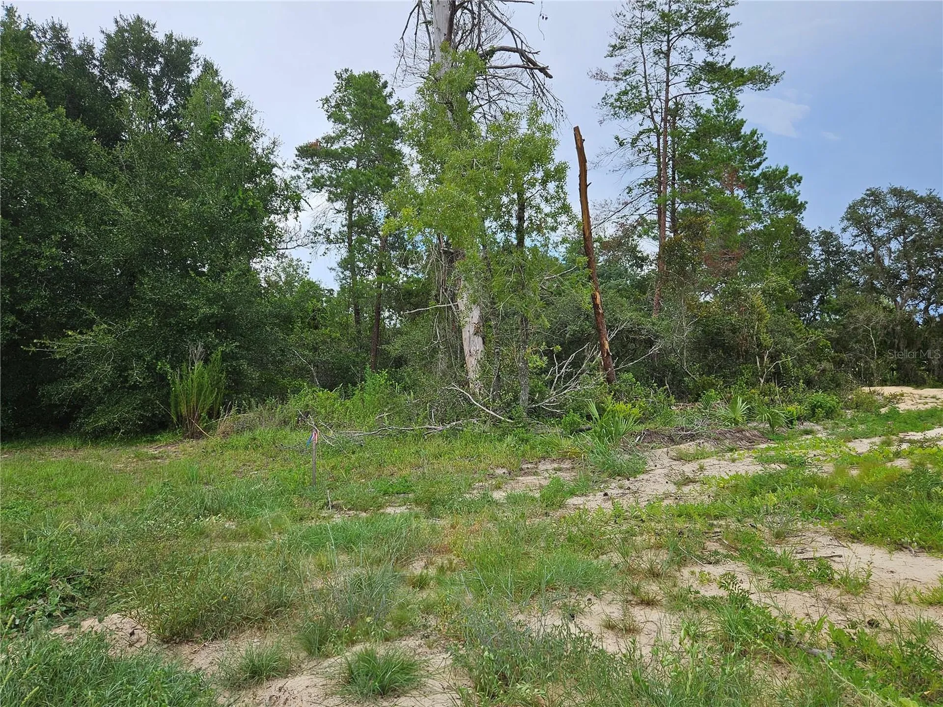 0 SW 46 Circle Ocala FL 34473