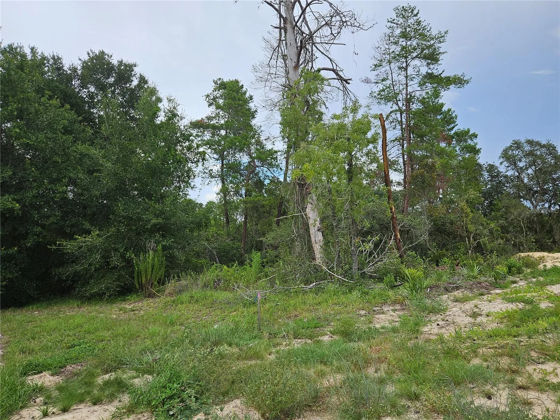 0 SW 46 Circle Ocala FL 34473