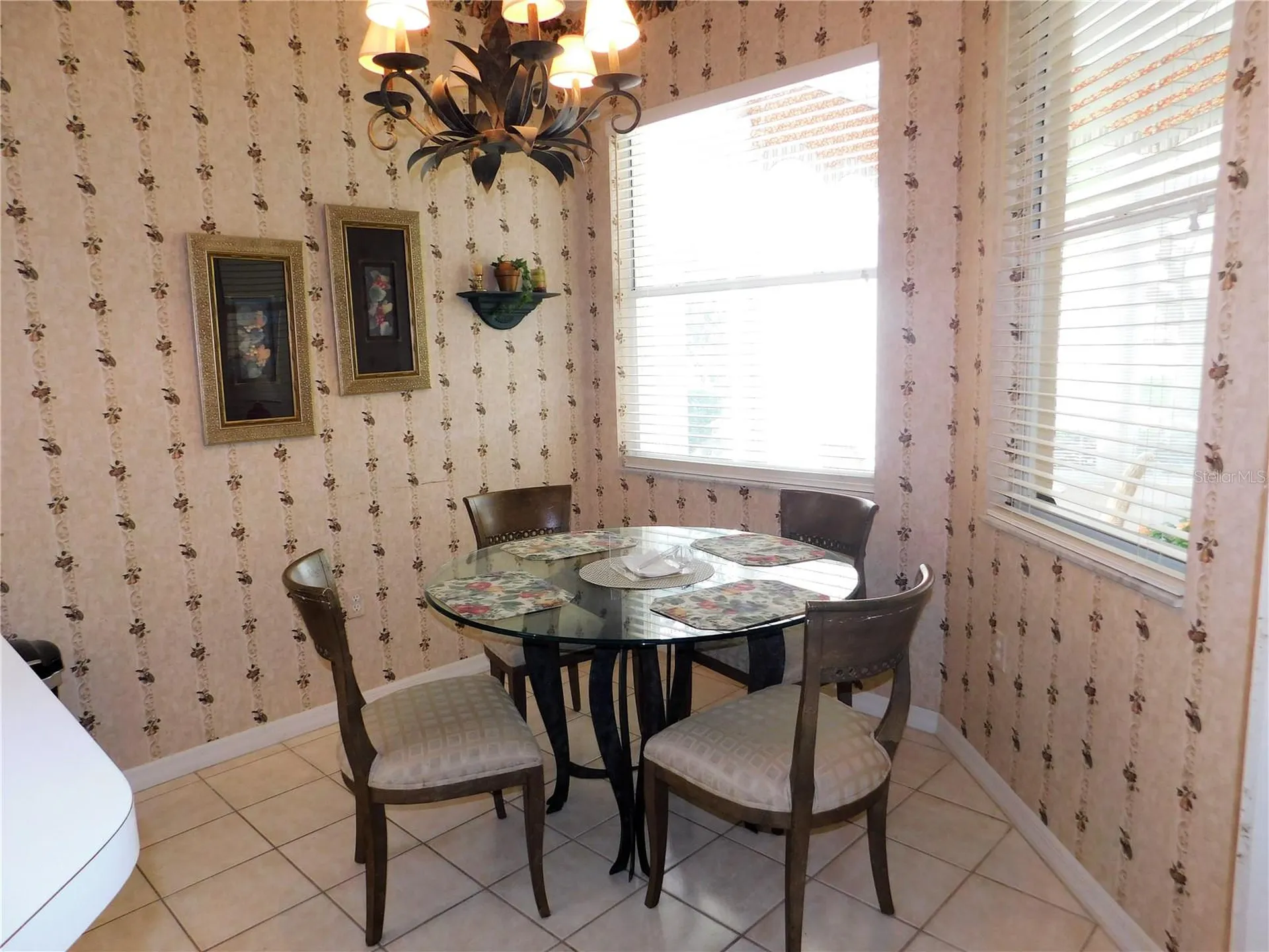 5107 Pinnacle Drive Oldsmar FL 34677