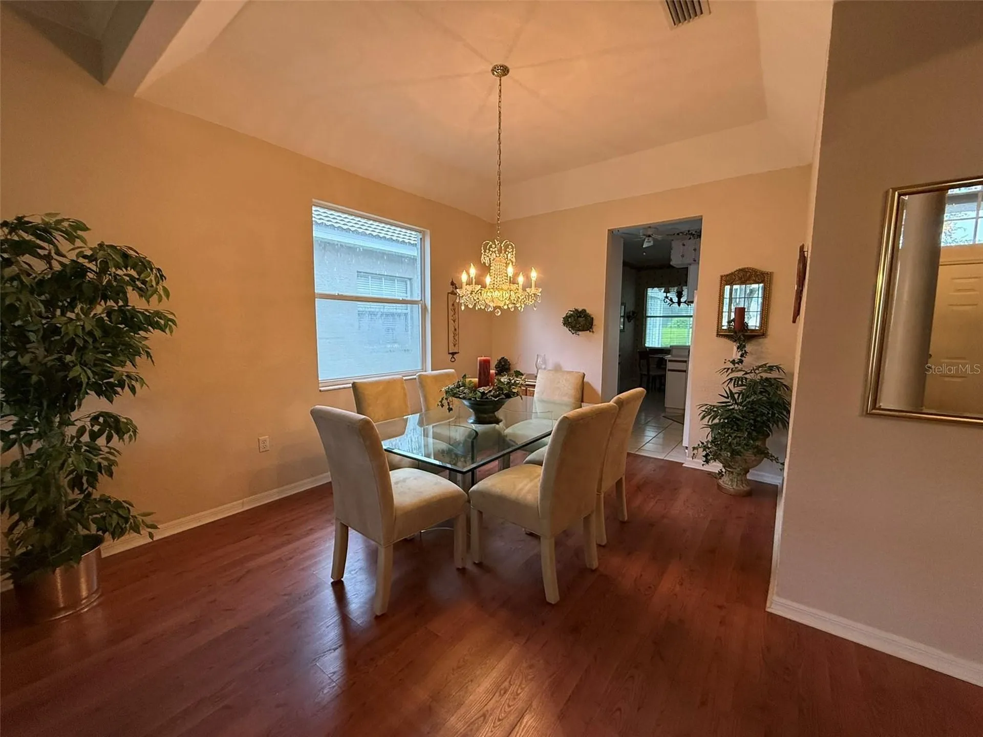 5107 Pinnacle Drive Oldsmar FL 34677