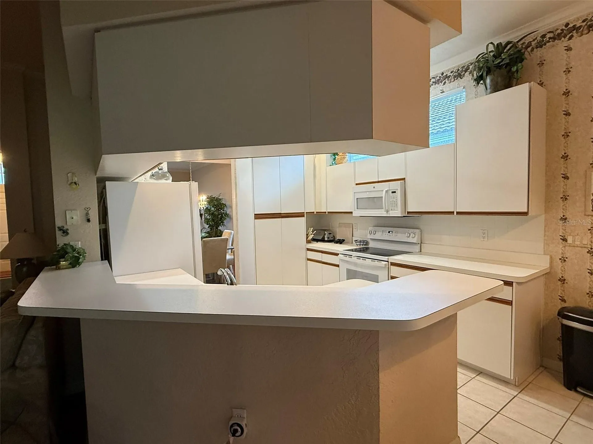 5107 Pinnacle Drive Oldsmar FL 34677