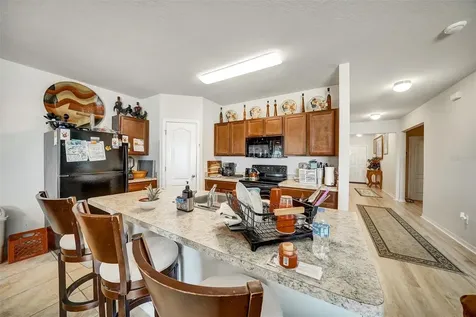 14456 Haddon Mist Drive Wimauma FL 33598