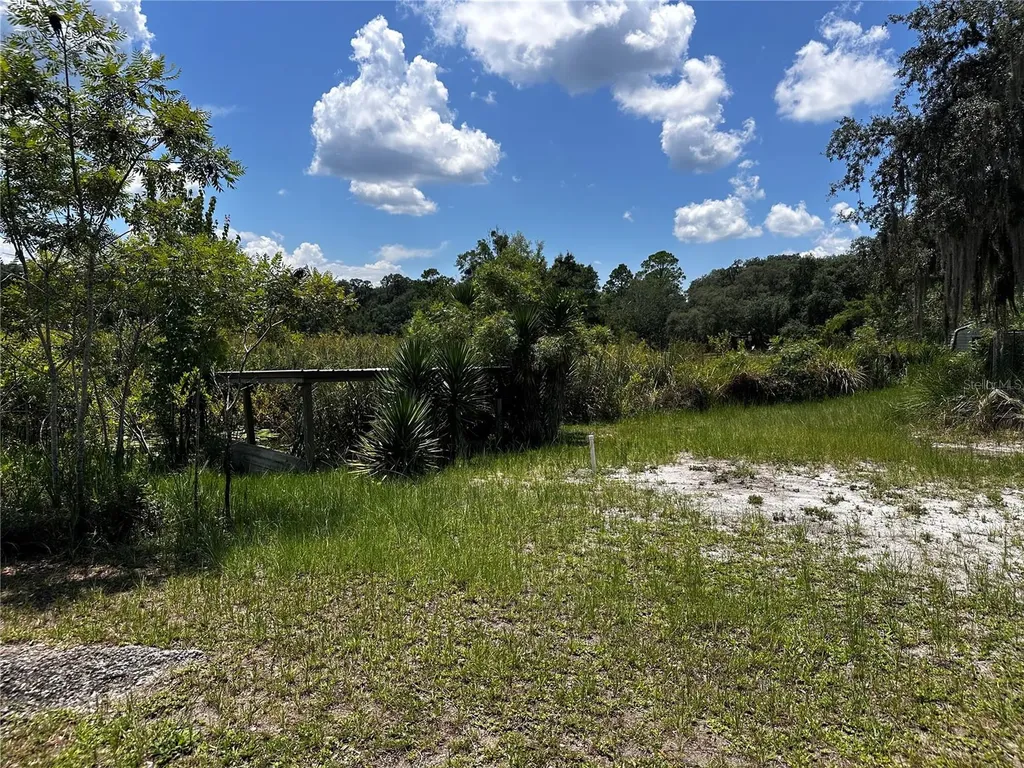 15225 NE 246th Avenue Salt Springs FL 32134