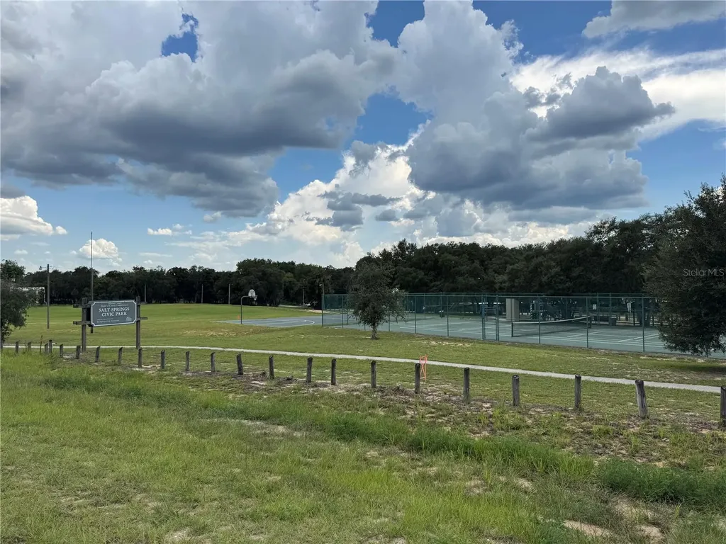 15225 NE 246th Avenue Salt Springs FL 32134