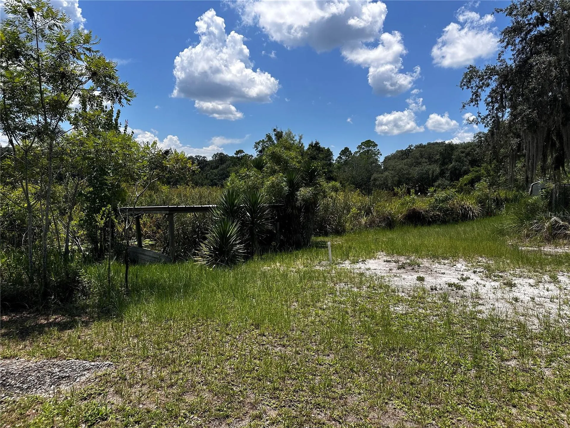15225 NE 246th Avenue Salt Springs FL 32134