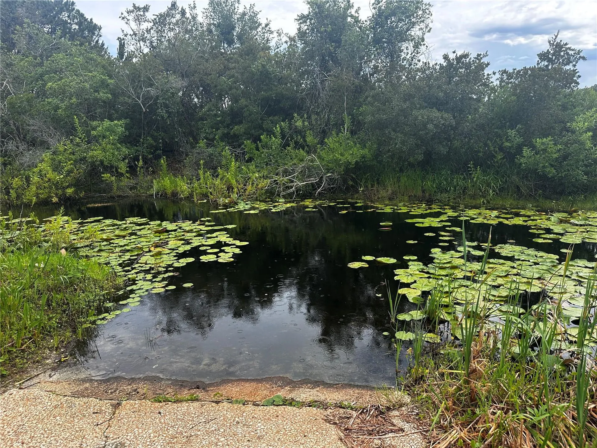 15225 NE 246th Avenue Salt Springs FL 32134