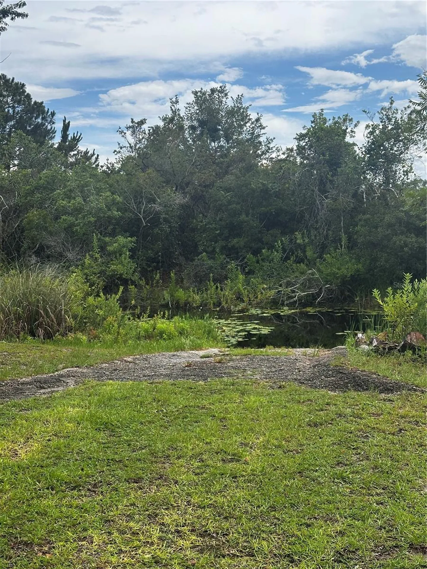 15225 NE 246th Avenue Salt Springs FL 32134