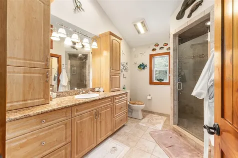 15225 NE 246th Avenue Salt Springs FL 32134