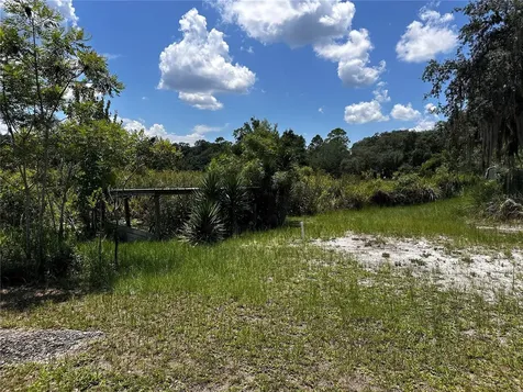 15225 NE 246th Avenue Salt Springs FL 32134