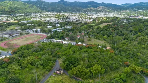 Carr 14 Km 71.2 Cayey PR 00737