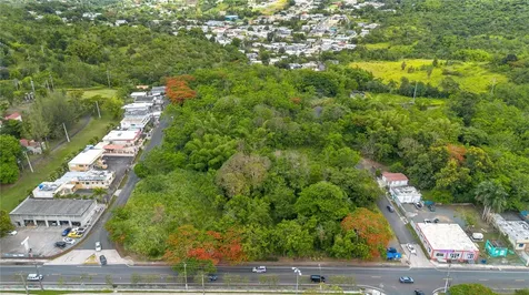 Carr 14 Km 71.2 Cayey PR 00737