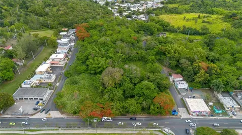Carr 14 Km 71.2 Cayey PR 00737