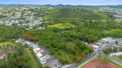 Carr 14 Km 71.2 Cayey PR 00737