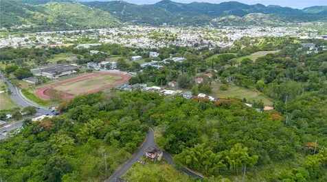 Carr 14 Km 71.2 Cayey PR 00737