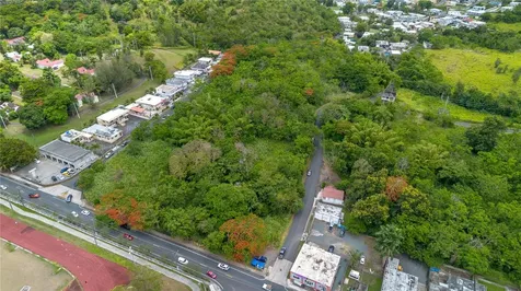 Carr 14 Km 71.2 Cayey PR 00737