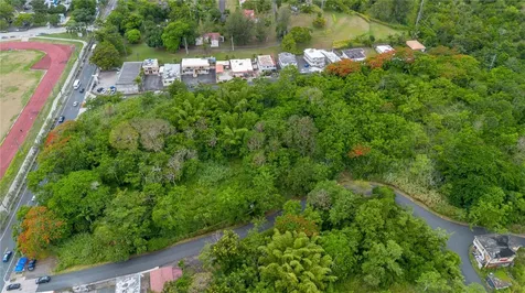 Carr 14 Km 71.2 Cayey PR 00737