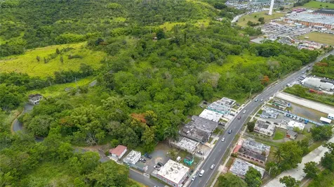 Carr 14 Km 71.2 Cayey PR 00737
