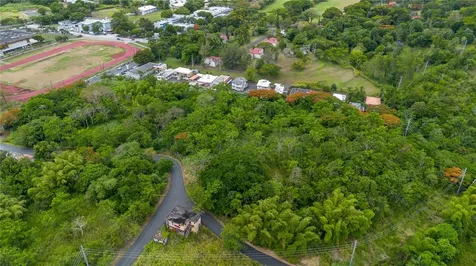 Carr 14 Km 71.2 Cayey PR 00737