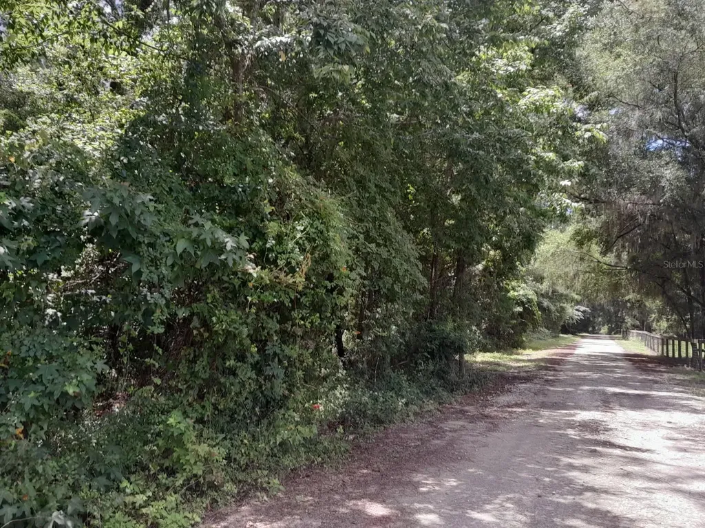 Tbd NW 172nd Place Reddick FL 32686