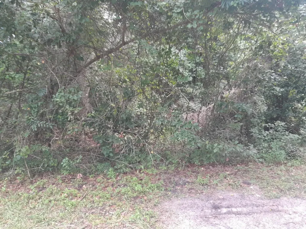 Tbd NW 172nd Place Reddick FL 32686